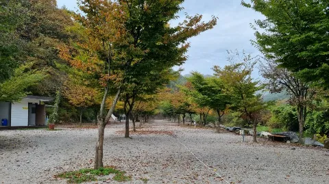 정모 대표 이미지