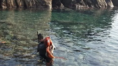 정모 대표 이미지