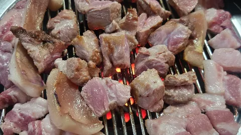 정모 대표 이미지