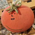 member face
