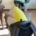 member face