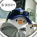 member face