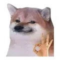 member face