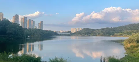 모임 대표 이미지