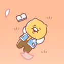 member face