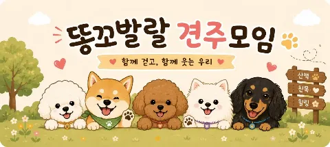 모임 대표 이미지