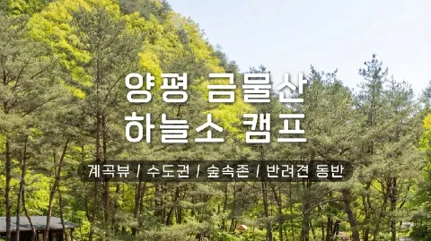 정모 대표 이미지