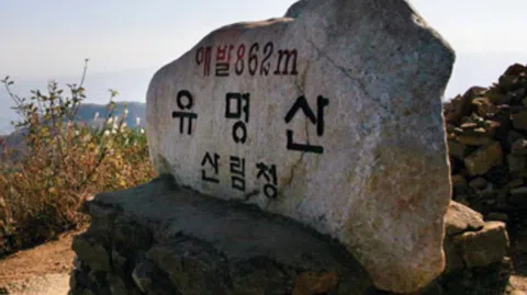 정모 대표 이미지