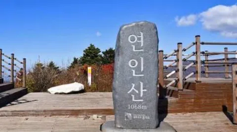 정모 대표 이미지