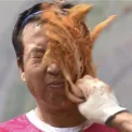 member face
