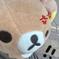 member face