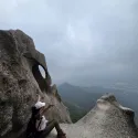 member face