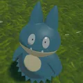 member face