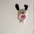 member face