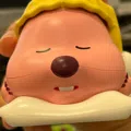 member face