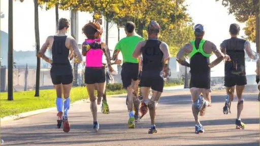 정모 대표 이미지