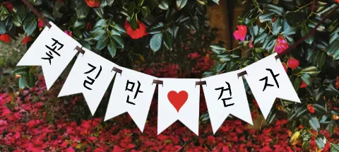 모임 대표 이미지