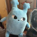 member face