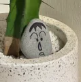 member face