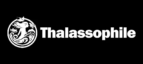 모임 대표 이미지