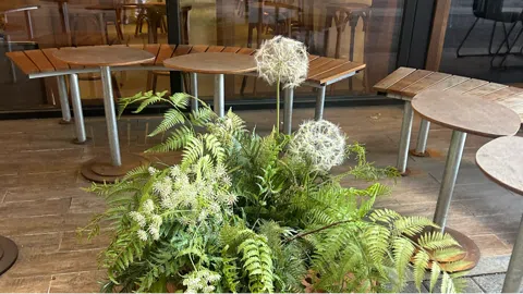 정모 대표 이미지