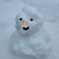 member face