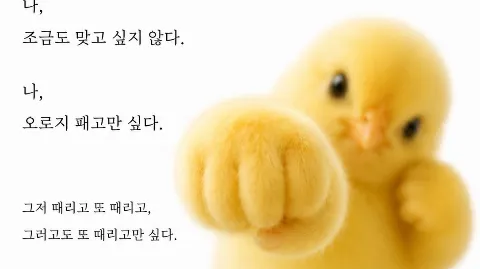 정모 대표 이미지