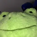 member face