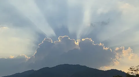 정모 대표 이미지