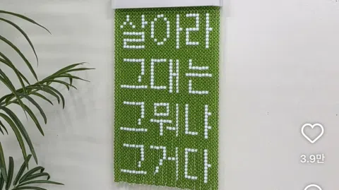 정모 대표 이미지