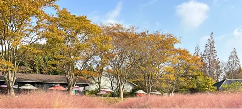 모임 대표 이미지