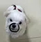 member face