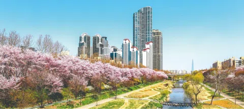 모임 대표 이미지