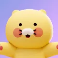 member face
