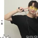 member face