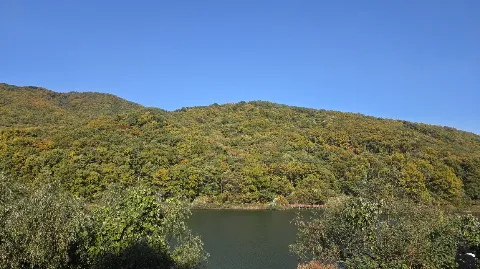 정모 대표 이미지