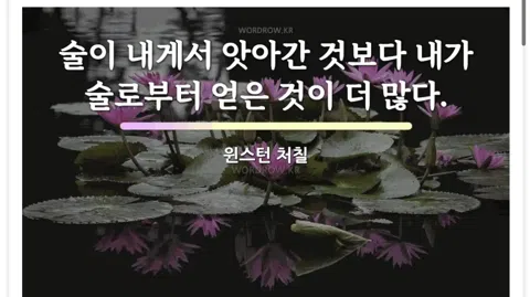 정모 대표 이미지