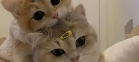 모임 대표 이미지