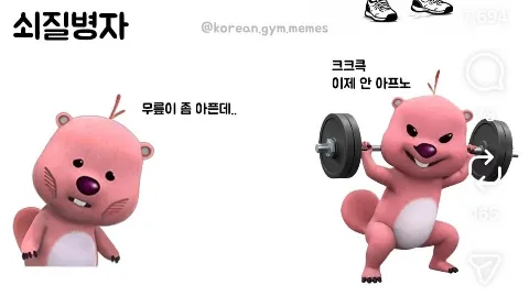 정모 대표 이미지