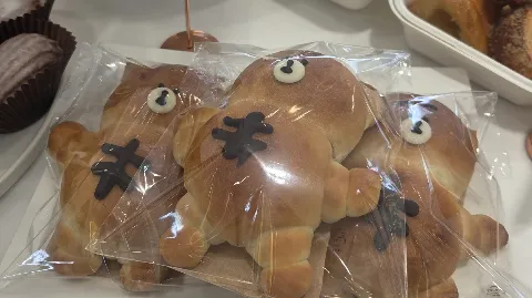 정모 대표 이미지