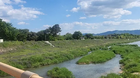 정모 대표 이미지