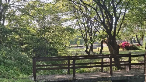 정모 대표 이미지