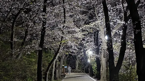 정모 대표 이미지