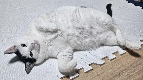 정모 대표 이미지