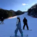 member face