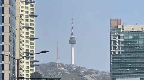 정모 대표 이미지