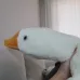 member face