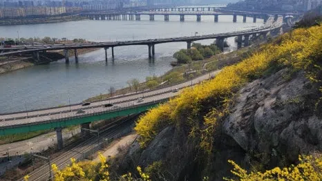 정모 대표 이미지