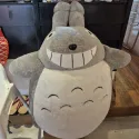 member face