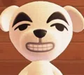 member face